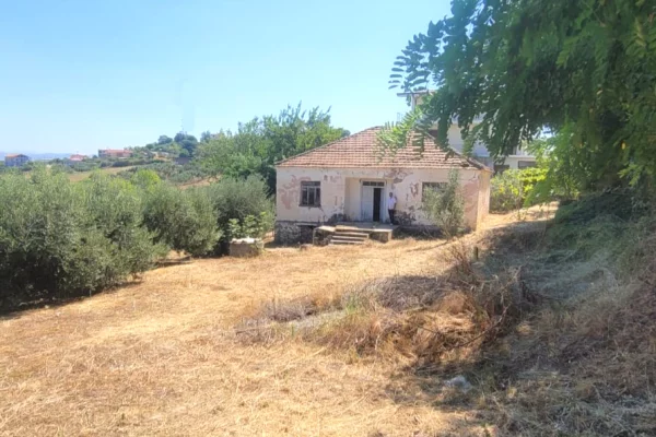 Land for Sale in Kavaja - 6,000,000 Leke