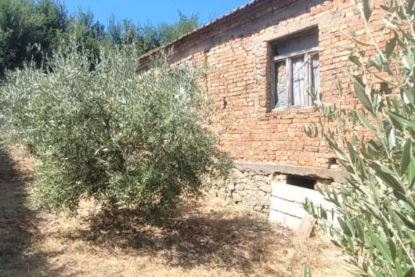 🏡 SHITET SHTEPI E VJETER ME 3500  TOKE me  ULLINJ – 6 km nga bregdeti Spillese 