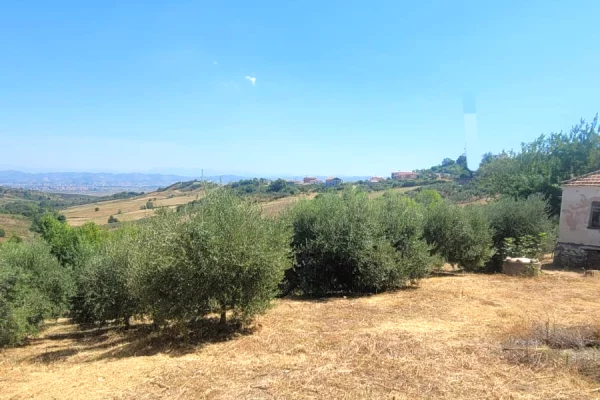 🏡 SHITET SHTEPI E VJETER ME 3500  TOKE me  ULLINJ – 6 km nga bregdeti Spillese 
