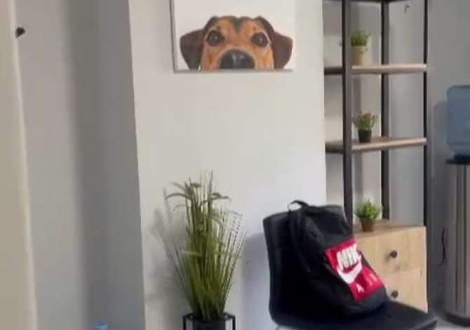 Ambient biznesi me qera 3+1 ne Tirane - 450 Euro