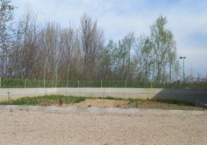 Shitet toke dhe kapanon ne Rinas