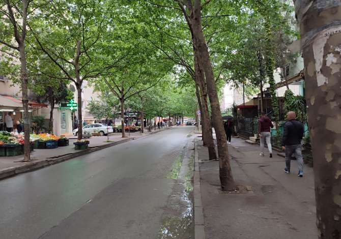 Ambient biznesi me qera 1+1 ne Tirane - 1,000 Euro