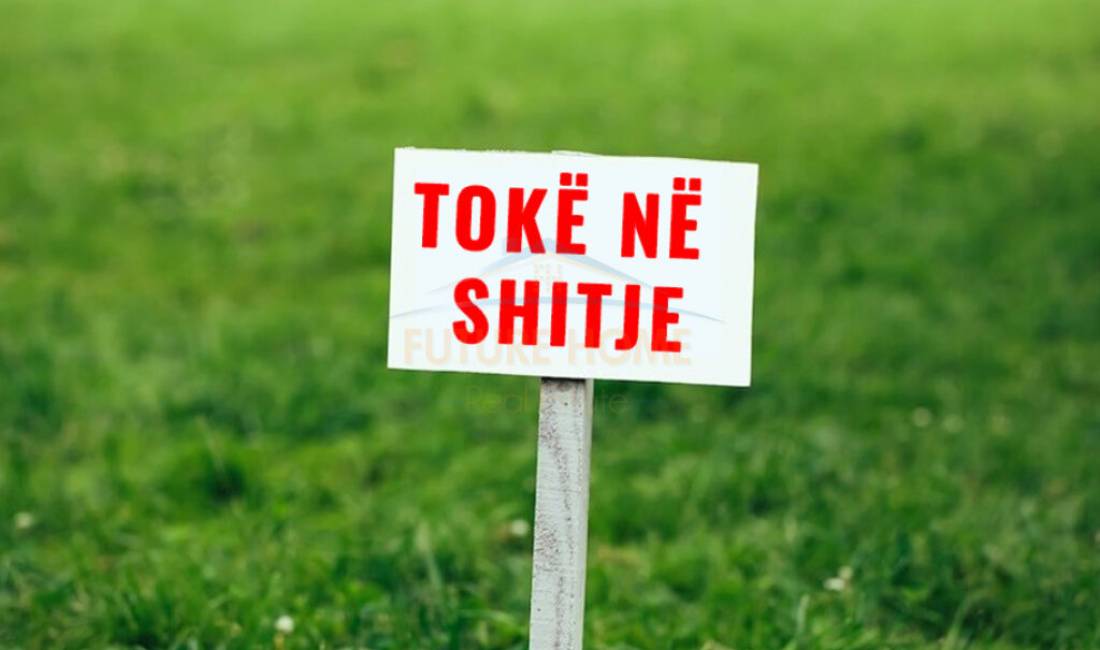 Shitet Toke ne Mjull Bathore, Sauk/ 150,000 Euro