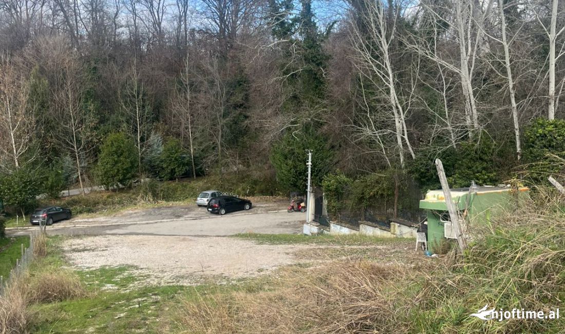 Shitet toke truall tek Liqeni Artificial, prane Vila Peti