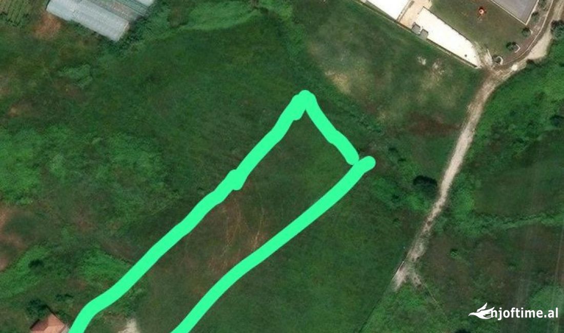 Shitet toke ne Kashar perball Mercedes Benz 