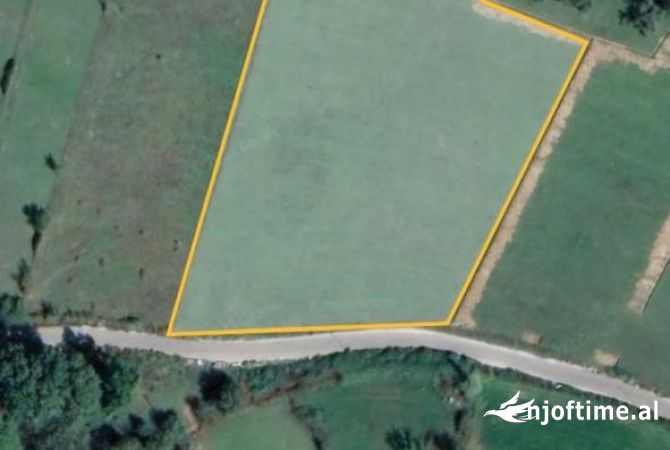 Shitet Toke ne Paskuqan/ 900,000 euro