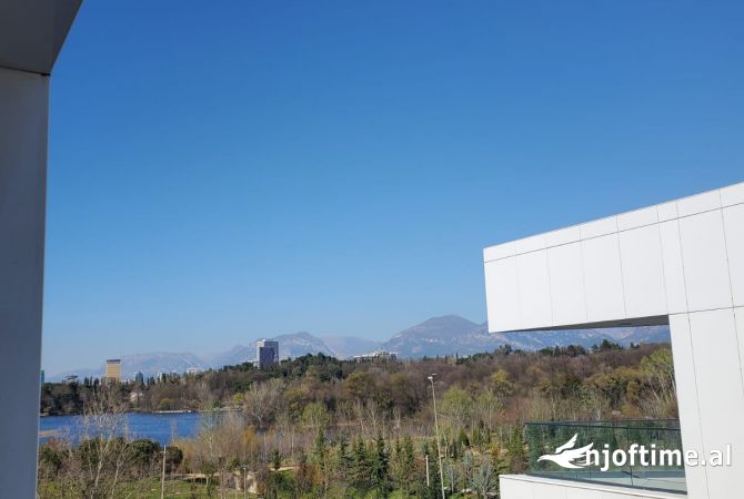 Shtepi me qera Apartament ne Tirane, 1+1, Mobilimi Pjeserisht e mobiluar, Pagesa 1,000  Euro.