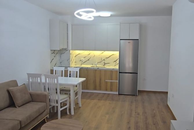 Shtepi me qera Apartament ne Tirane, 1+1, Mobilimi E mobiluar, Pagesa 60,000  Leke.
