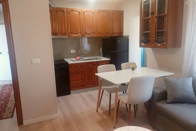 Apartment for rent in Tirana 1+1, Furnished