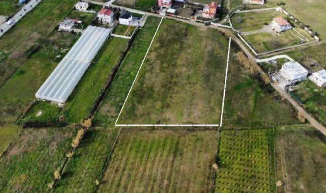 Shitet toke ne Prush