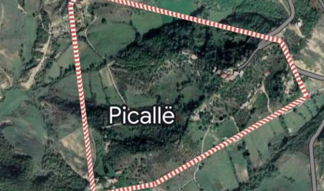 Shitet toke ne PICALLE