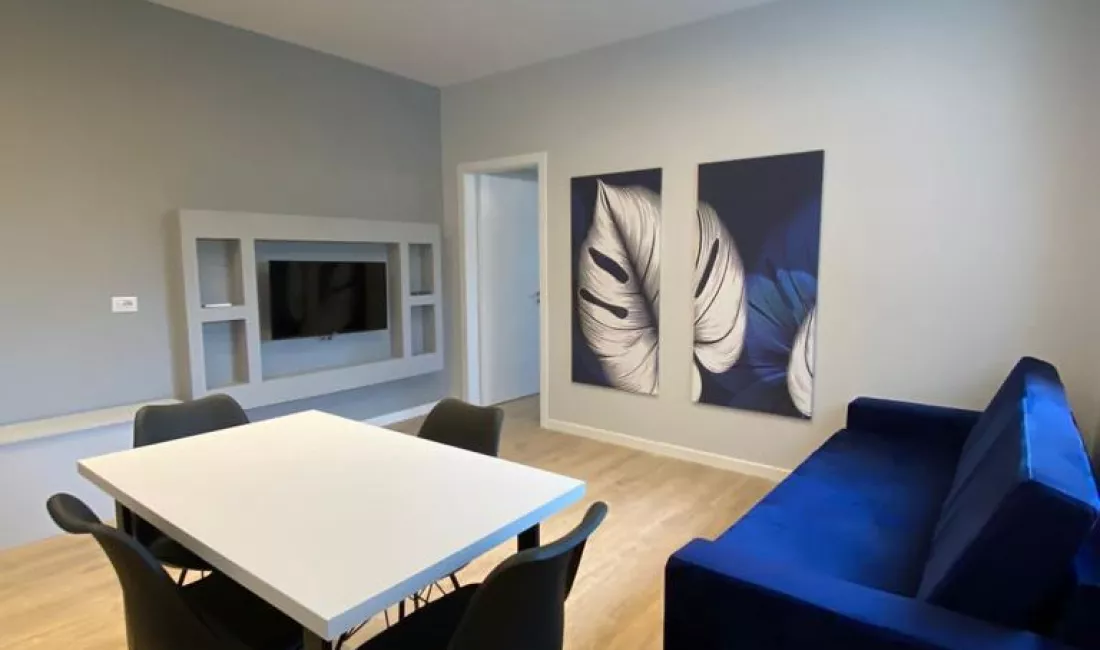 Shtepi me qera Apartament ne Tirane, 1+1, Mobilimi E mobiluar, Pagesa 500  Euro.