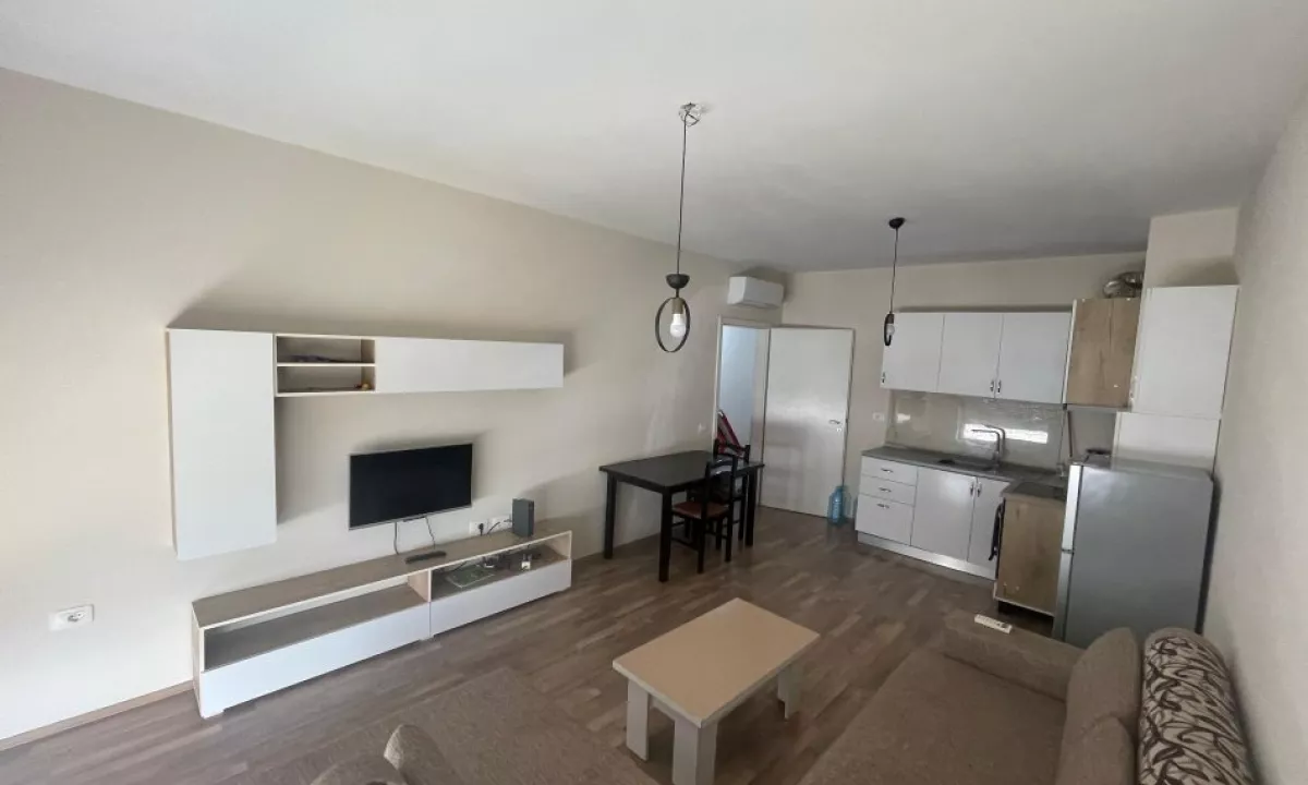 Shtepi ne shitje Apartament ne Tirane, 1+1, Mobilimi E mobiluar, Pagesa 110,000  Euro.