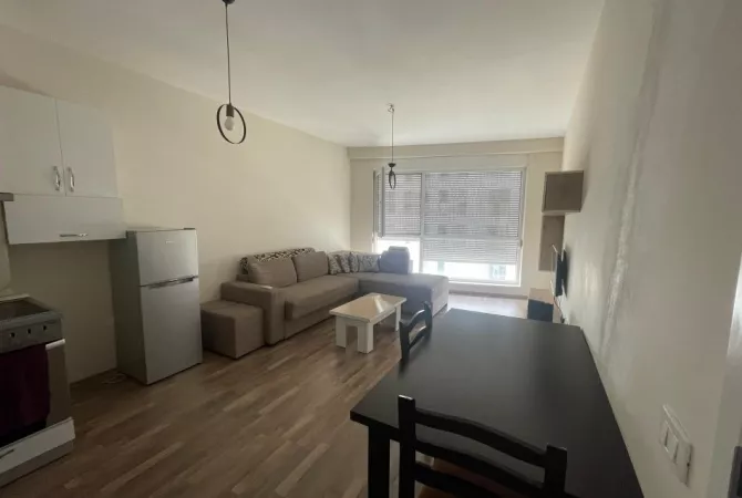 Shtepi ne shitje Apartament ne Tirane, 1+1, Mobilimi E mobiluar, Pagesa 110,000  Euro.
