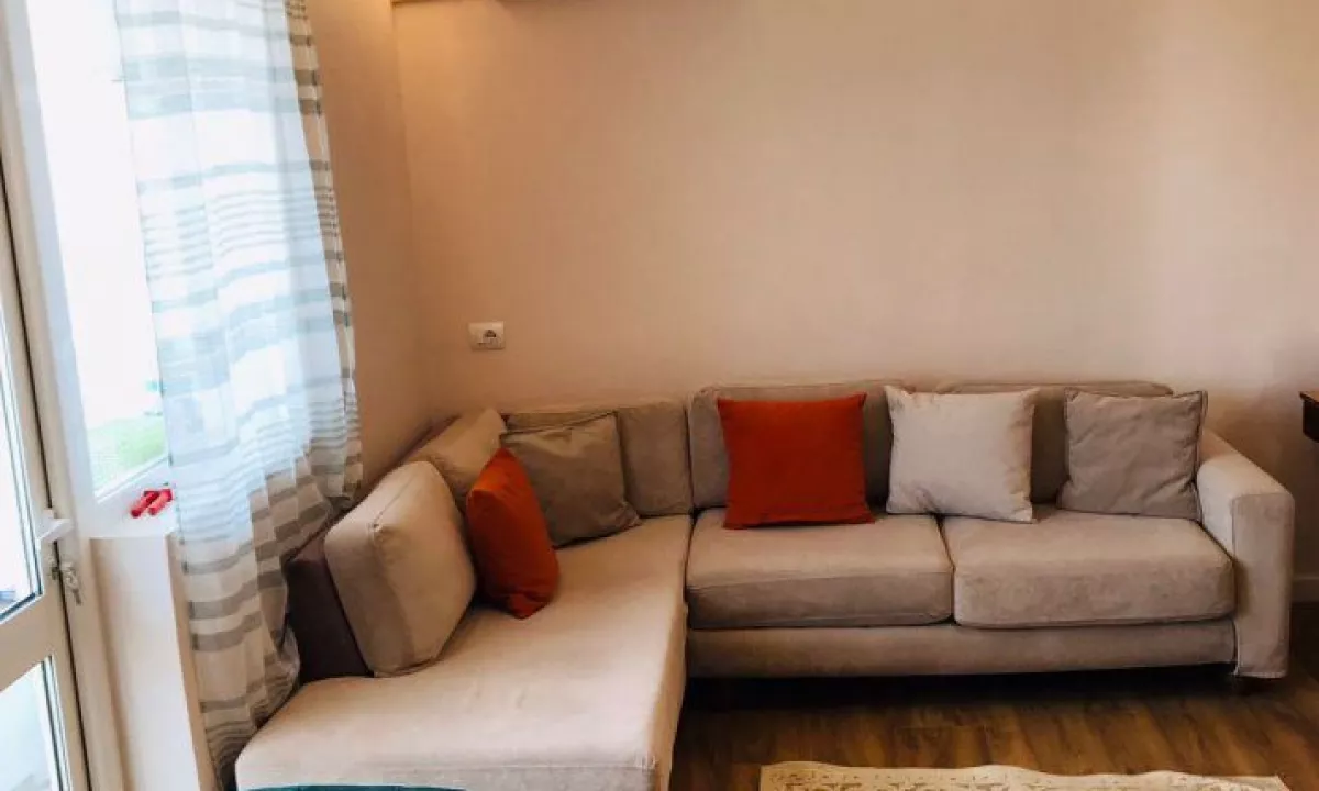Shtepi me qera Apartament ne Tirane, 1+1, Mobilimi E mobiluar, Pagesa 650  Euro.