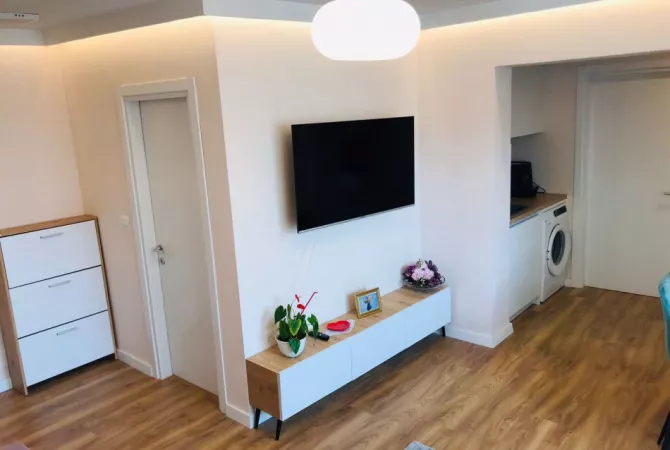Shtepi me qera Apartament ne Tirane, 1+1, Mobilimi E mobiluar, Pagesa 650  Euro.
