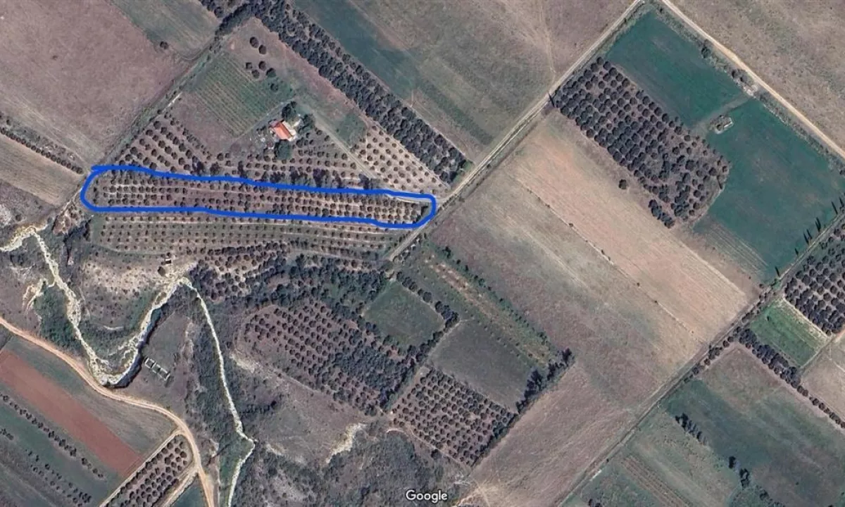 Shitet toke me ullinj ne prodhim 15 vjecare ne Dukat te Ri "Vlore". 