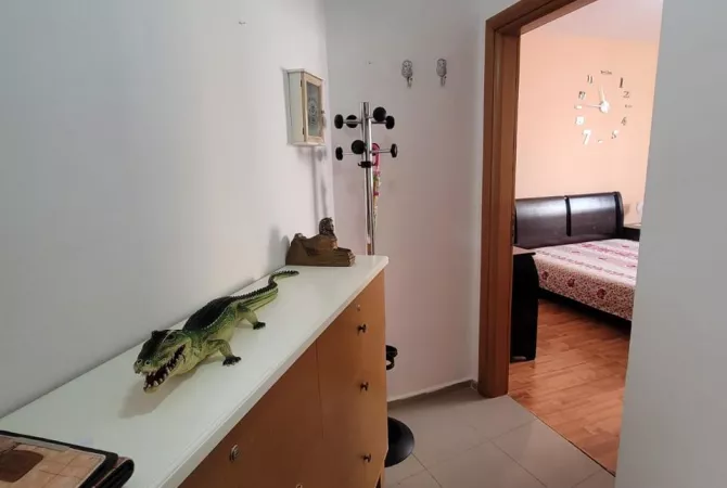 Shtepi ne shitje Apartament ne Tirane, 1+1, Mobilimi E mobiluar, Pagesa 91,000  Euro.
