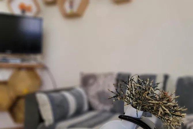 Shtepi ne shitje Apartament ne Tirane, 1+1, Mobilimi E mobiluar, Pagesa 91,000  Euro.