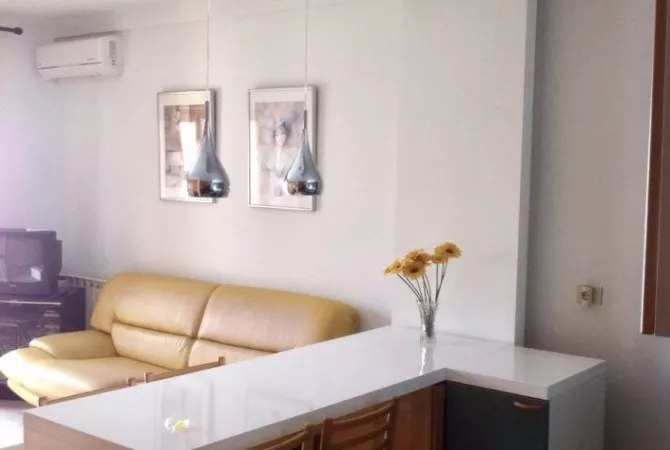 Shtepi me qera Apartament ne Tirane, 1+1, Mobilimi E mobiluar, Pagesa 50,000  Leke.