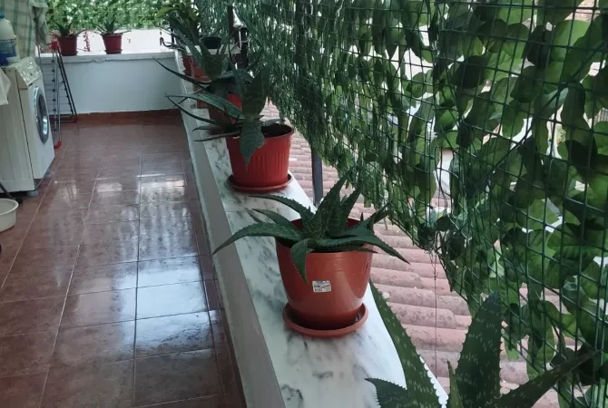 Shtepi me qera Apartament ne Tirane, Garsoniere, Mobilimi E mobiluar, Pagesa 600  Euro.