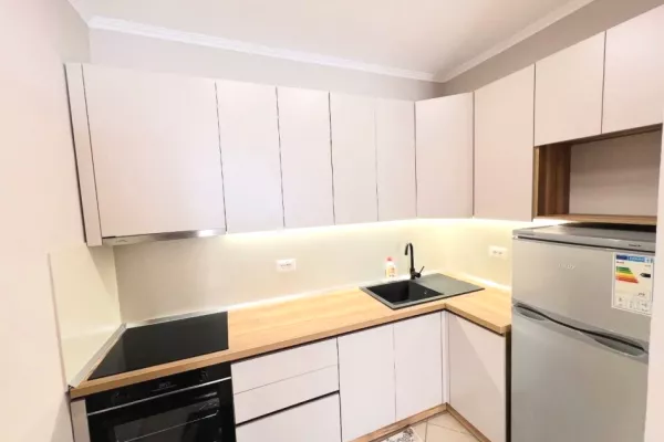 Apartment for rent in Tirana 1+1, In Part