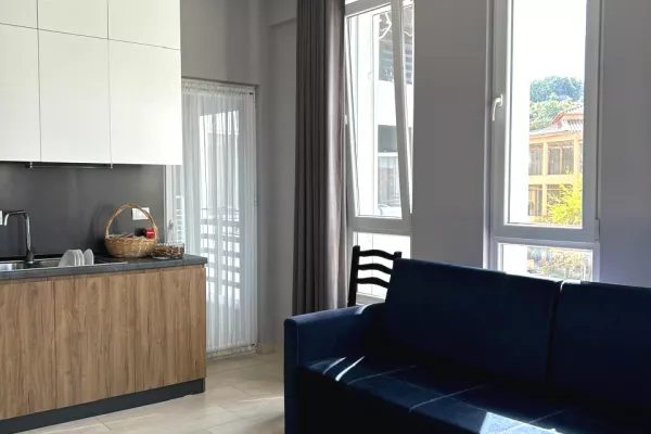 Shtepi ne shitje Apartament ne Pogradec, 1+1, Mobilimi E mobiluar, Pagesa 110,000  Euro.