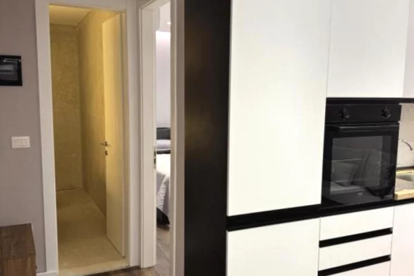 Shtepi me qera Apartament ne Tirane, 1+1, Mobilimi E mobiluar, Pagesa 700  Euro.