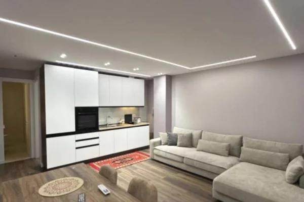 Shtepi me qera Apartament ne Tirane, 1+1, Mobilimi E mobiluar, Pagesa 700  Euro.