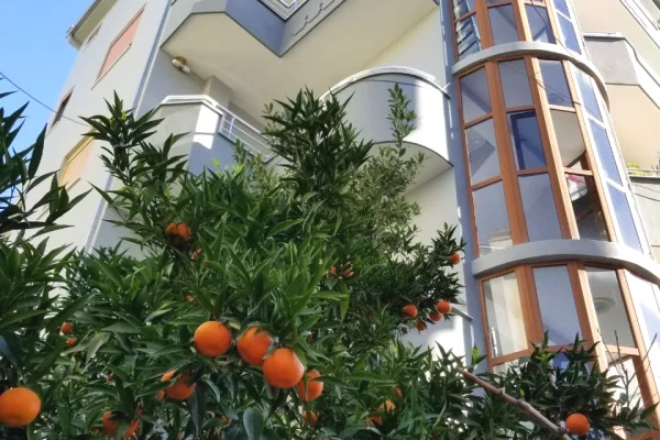 Villa di lusso in vendita a Tirana 7+1, Arredato