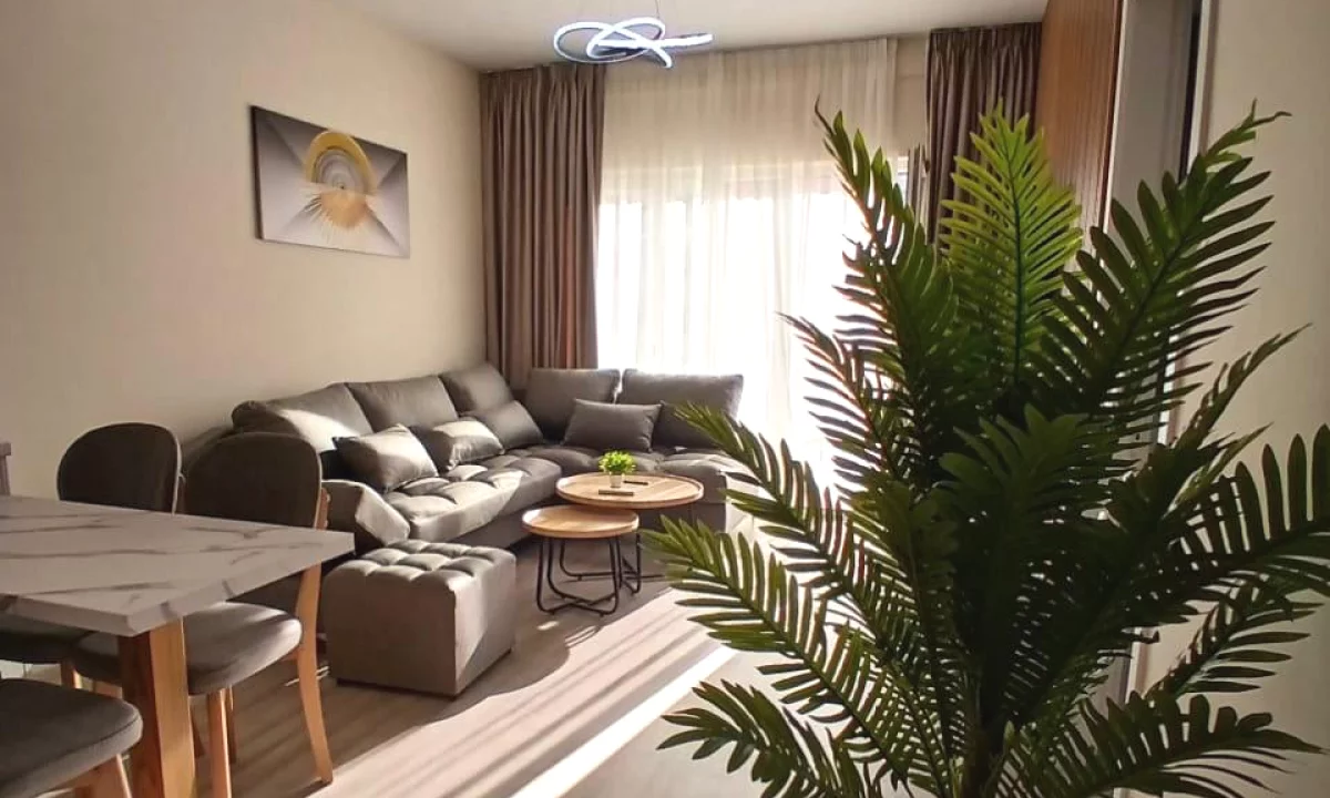 Shtepi me qera Apartament ne Tirane, 2+1, Mobilimi E mobiluar, Pagesa 1,000  Euro.