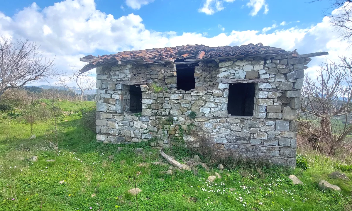 Shitet toke ne Baldushk + Shtepi te Vjeter 