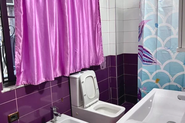 Shtepi me qera Apartament ne Tirane, 2+1, Mobilimi E mobiluar, Pagesa 500  Euro.