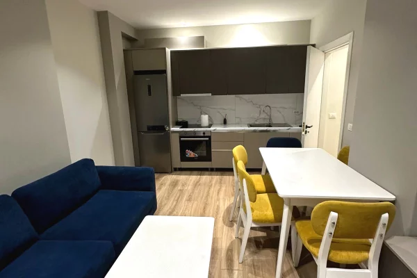Shtepi me qera Apartament ne Tirane, 1+1, Mobilimi E mobiluar, Pagesa 500  Euro.