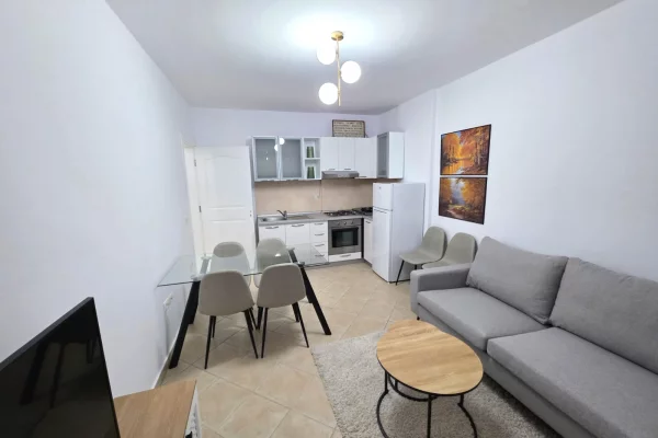 Shtepi me qera Apartament ne Tirane, Garsoniere, Mobilimi E mobiluar, Pagesa 650  Euro.
