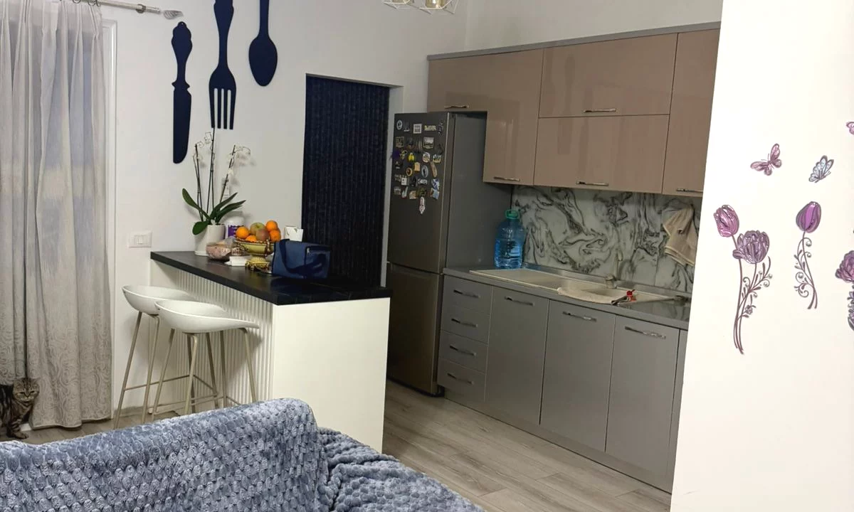 Shtepi ne shitje Apartament ne Tirane, 1+1, Mobilimi E mobiluar, Pagesa 120,000  Euro.