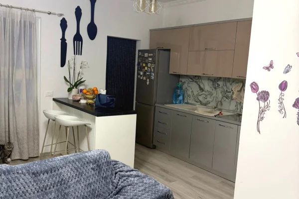 Shtepi ne shitje Apartament ne Tirane, 1+1, Mobilimi E mobiluar, Pagesa 120,000  Euro.