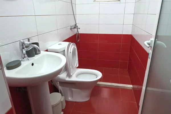 Shtepi me qera Apartament ne Tirane, 1+1, Mobilimi E mobiluar, Pagesa 500  Euro.