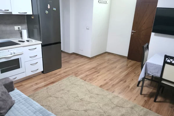 Shtepi me qera Apartament ne Tirane, 1+1, Mobilimi E mobiluar, Pagesa 500  Euro.