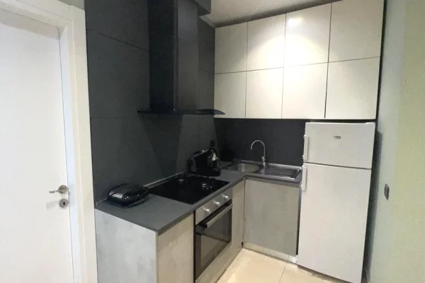 Shtepi me qera Apartament ne Tirane, 1+1, Mobilimi E mobiluar, Pagesa 1,200  Euro.