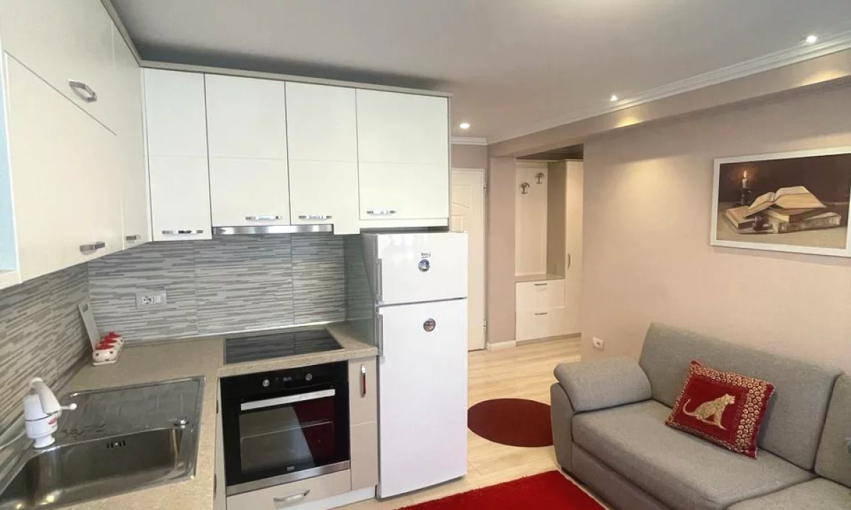 Apartment for rent in Tirana 1+1, In Part