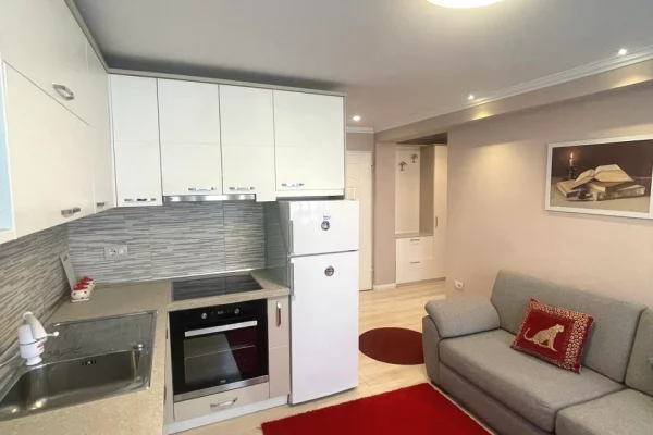 House for Rent 1+1 in Tirana - 900 Euro