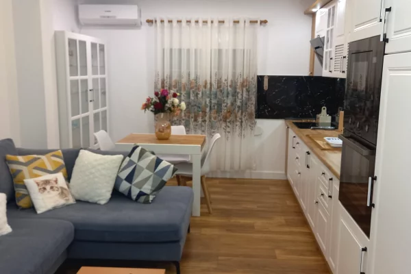 Apartment for rent in Tirana 1+1, Furnished