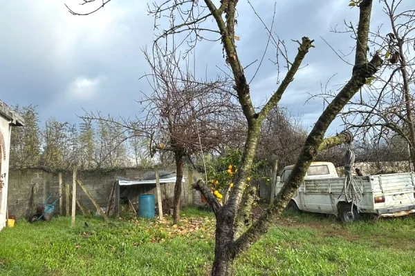 Apartment for rent in Tirana 1+1, Furnished