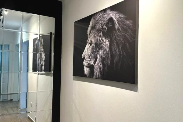 Apartment for rent in Tirana 1+1, Furnished