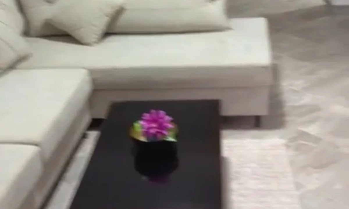 Shtepi ne shitje Apartament ne Lezhe, 1+1, Mobilimi E mobiluar, Pagesa 60,000  Euro.