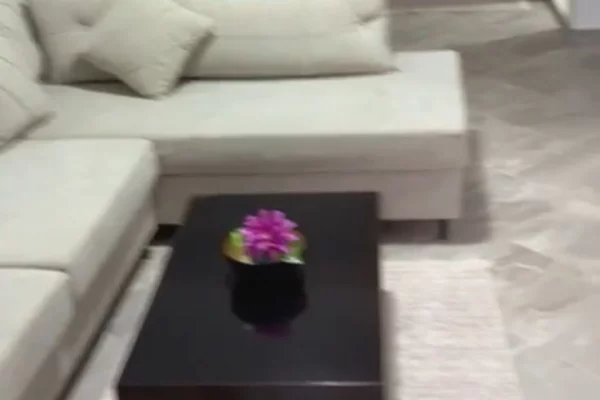 Shtepi ne shitje Apartament ne Lezhe, 1+1, Mobilimi E mobiluar, Pagesa 60,000  Euro.