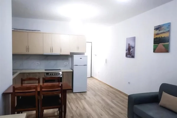 Apartment for rent in Tirana 1+1, Furnished