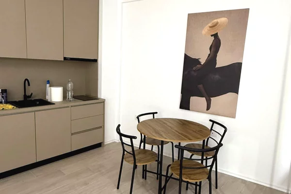 Casa in affitto Garsoniere a Tirana - 450 Euro