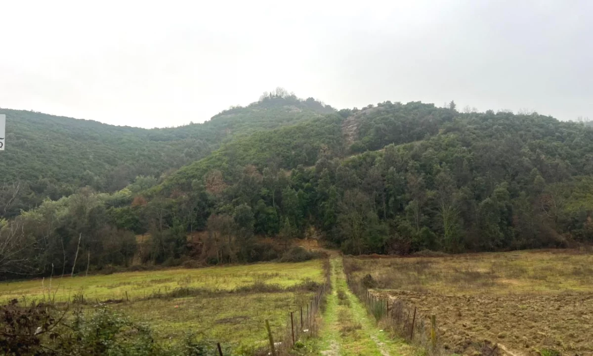 Shitet toke  ne Lanabregas,Dajt/400,000 euro